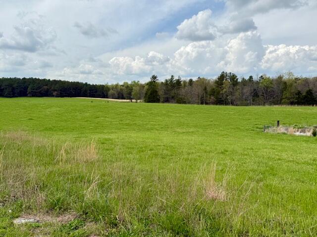 18549 County Road 427 Property Photo 60
