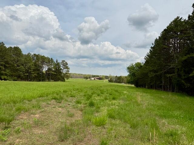 18549 County Road 427 Property Photo 61