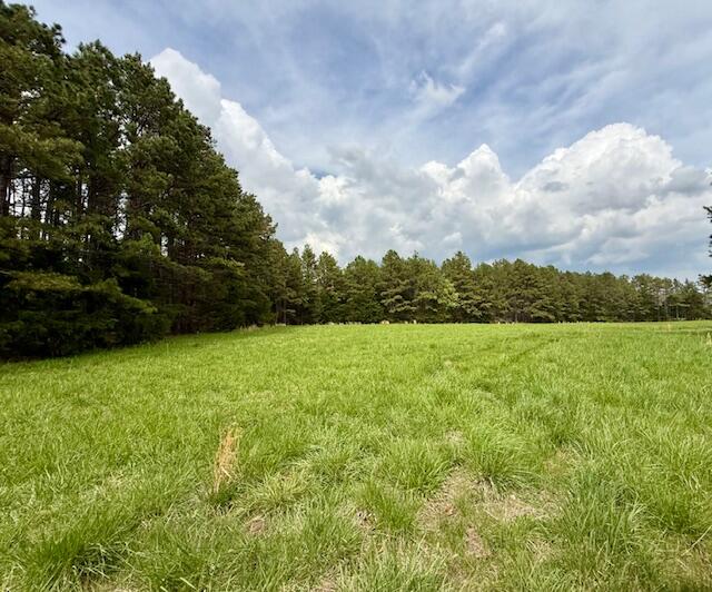 18549 County Road 427 Property Photo 62