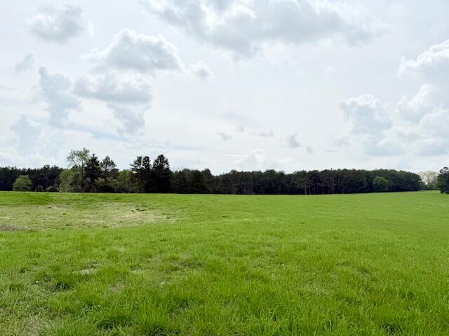 18549 County Road 427 Property Photo 64