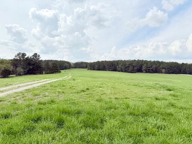 18549 County Road 427 Property Photo 65