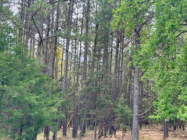 18549 County Road 427 Property Photo 69