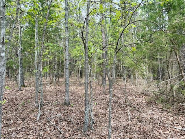 18549 County Road 427 Property Photo 70