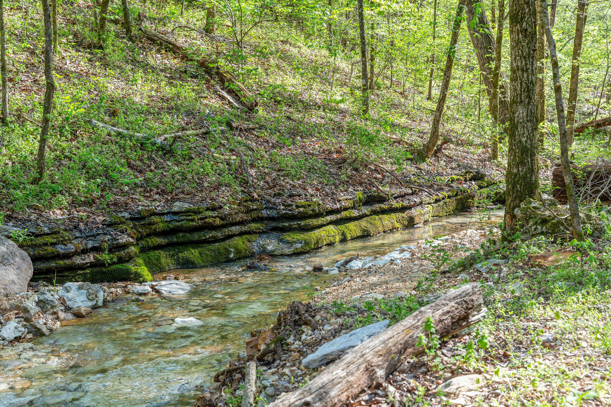 160 Old Horseshoe Rdg Property Photo 61