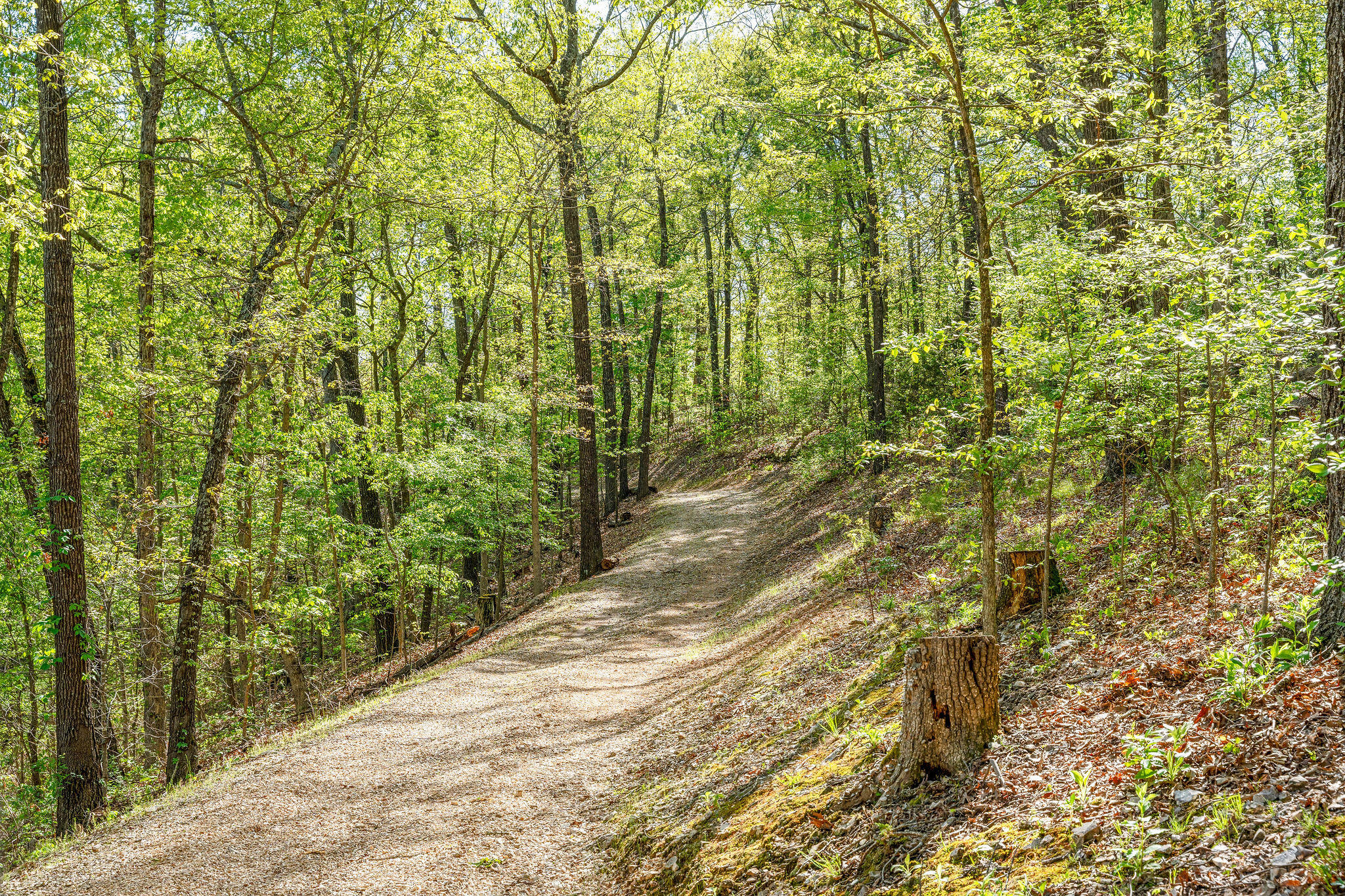 160 Old Horseshoe Rdg Property Photo 64