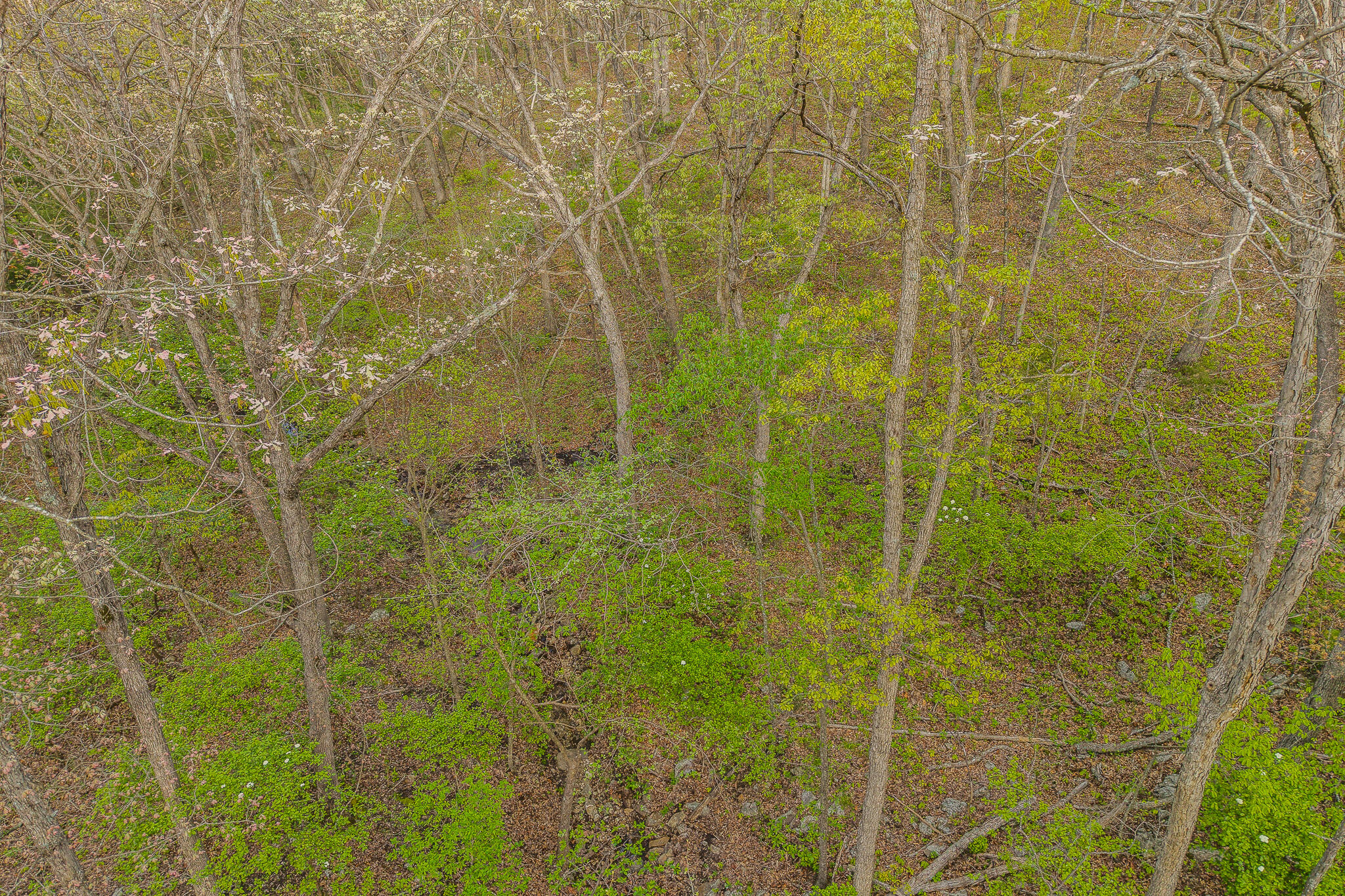 000-000 County Road-363 Property Photo 31