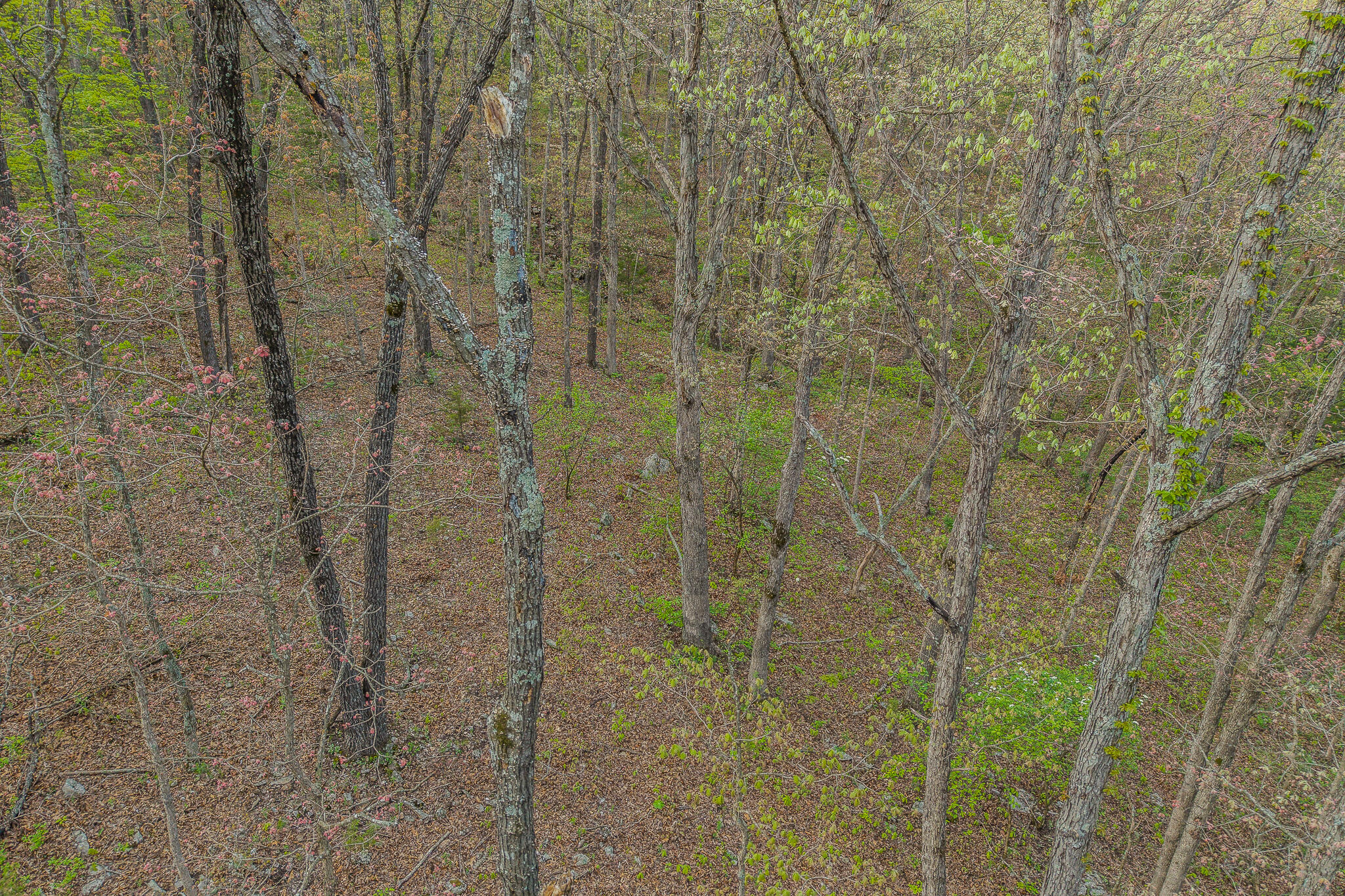 000-000 County Road-363 Property Photo 33