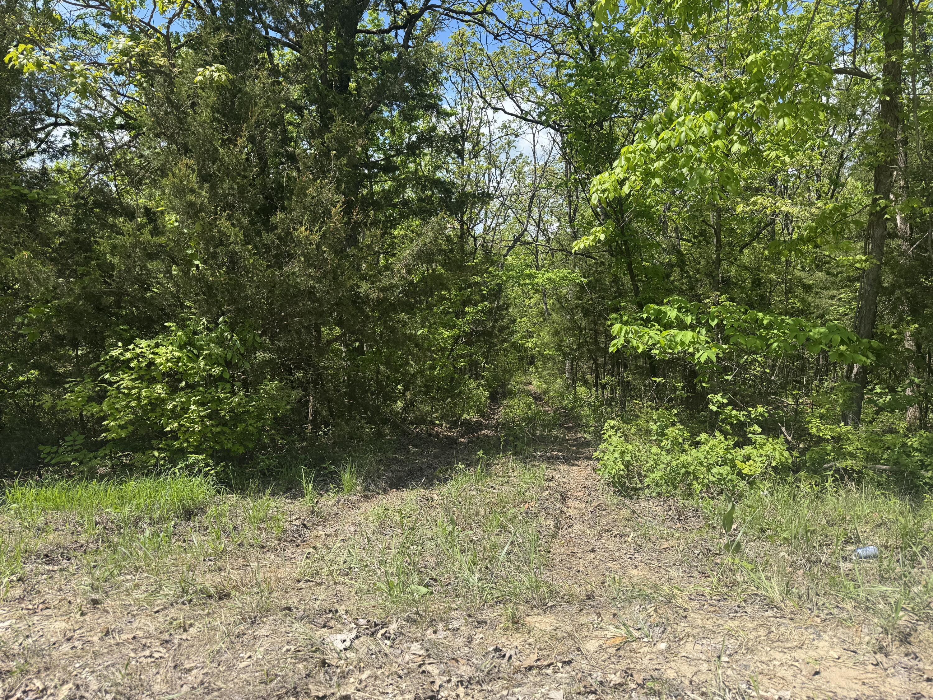 000-000 County Road-363 Property Photo 36
