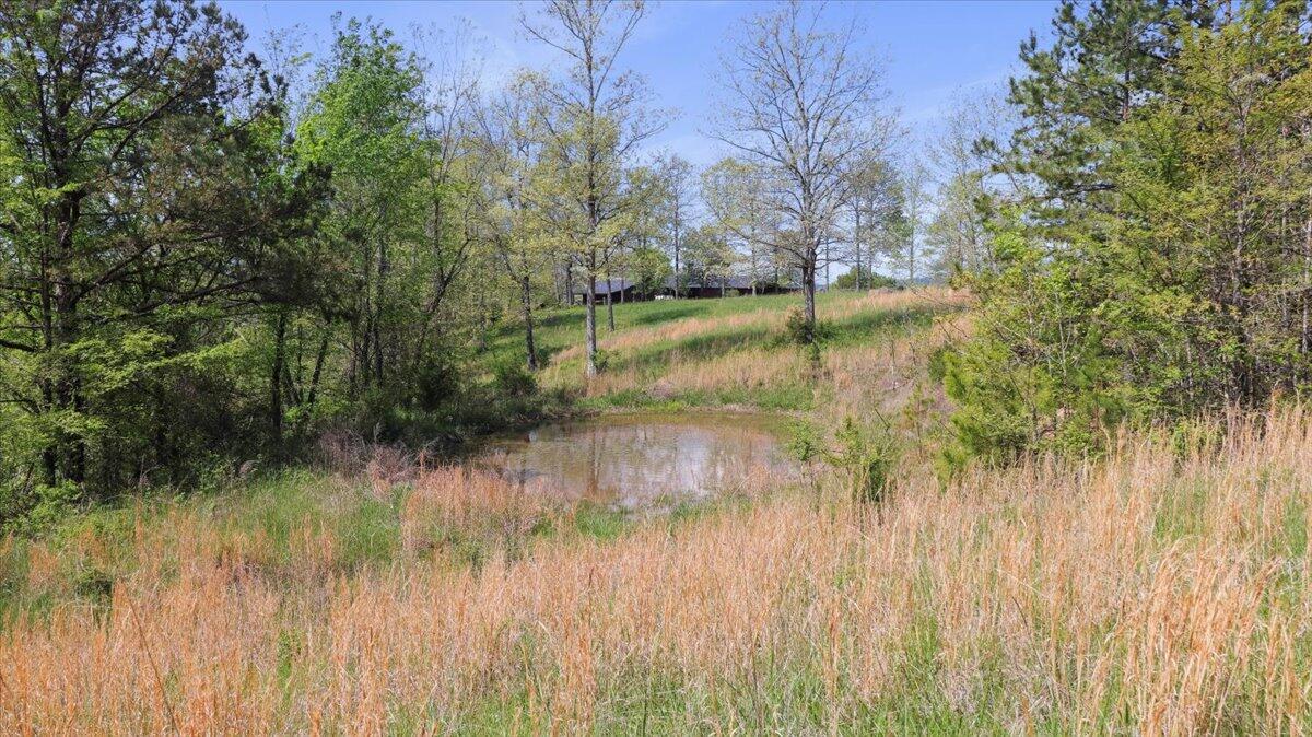688 Carter St 123 Property Photo 22