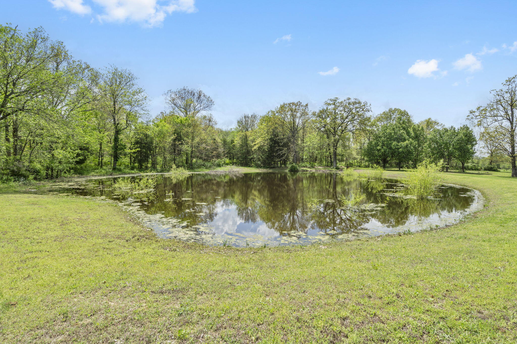 1476 Highway 32 Property Photo 35