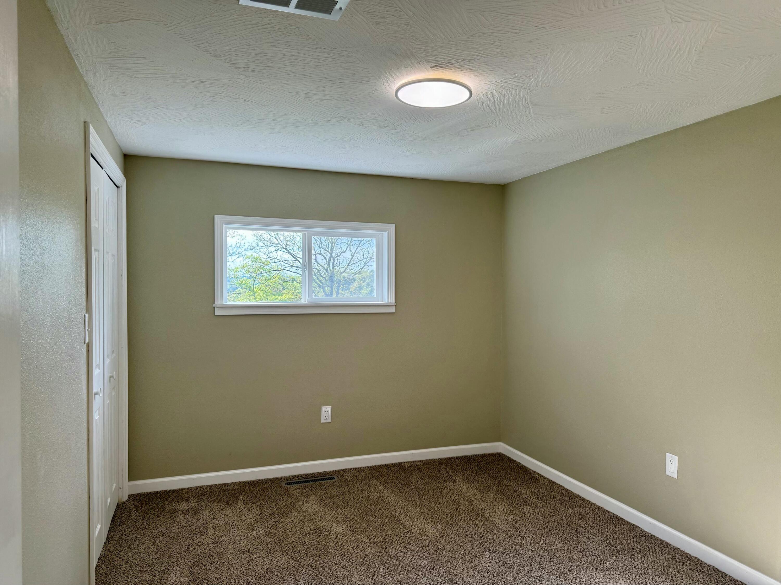937 Brace Hill Road Property Photo 11