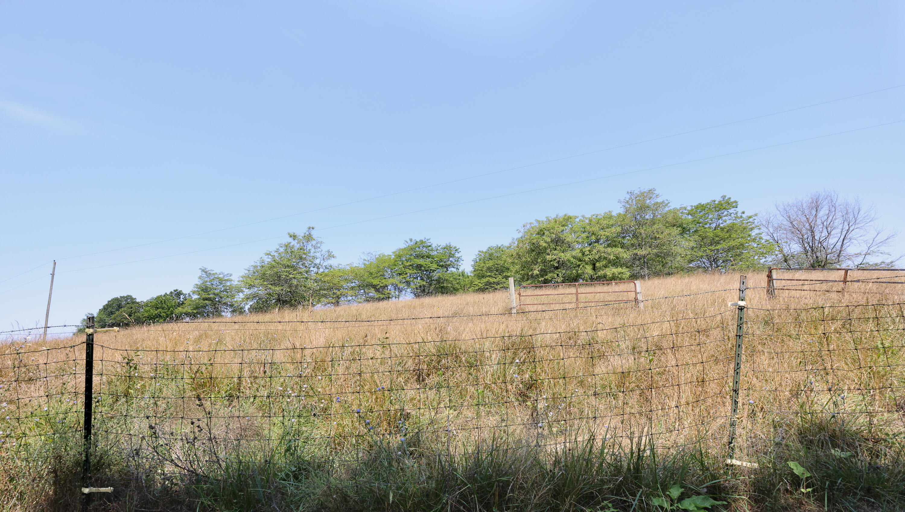 2053 Osage Road Property Photo 21