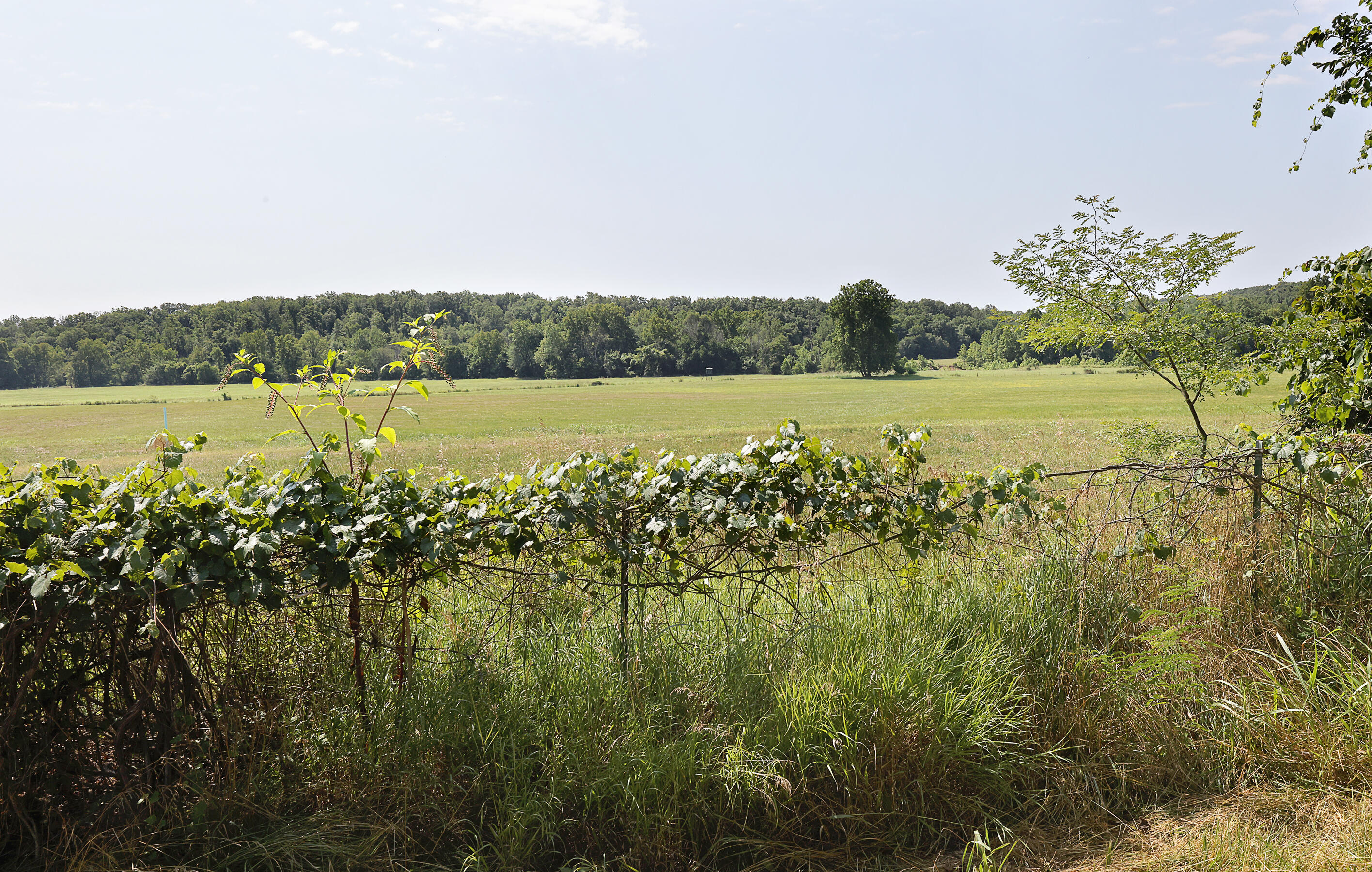 2053 Osage Road Property Photo 24