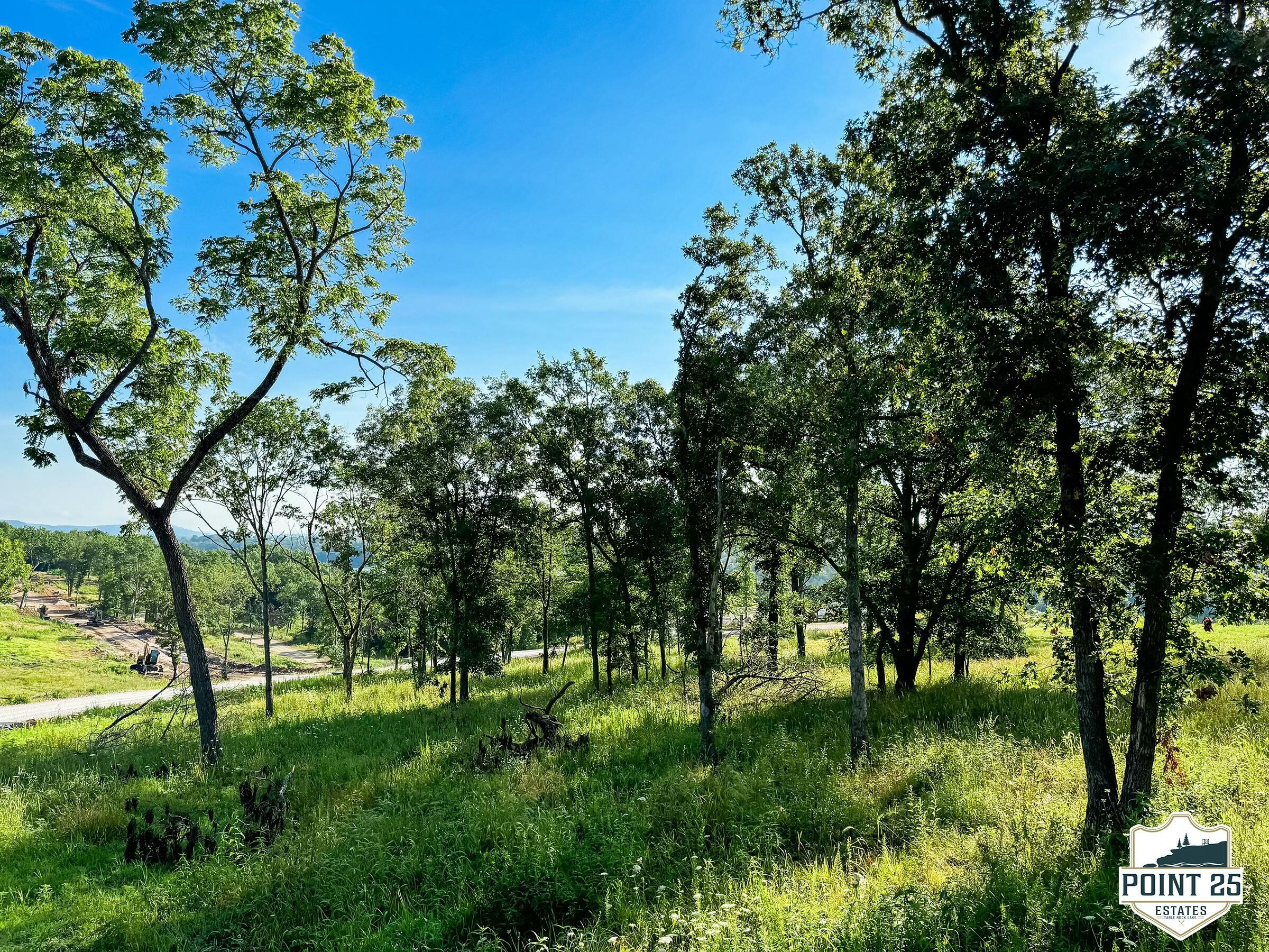 Lot 40a Boulder Rdg Property Photo 4