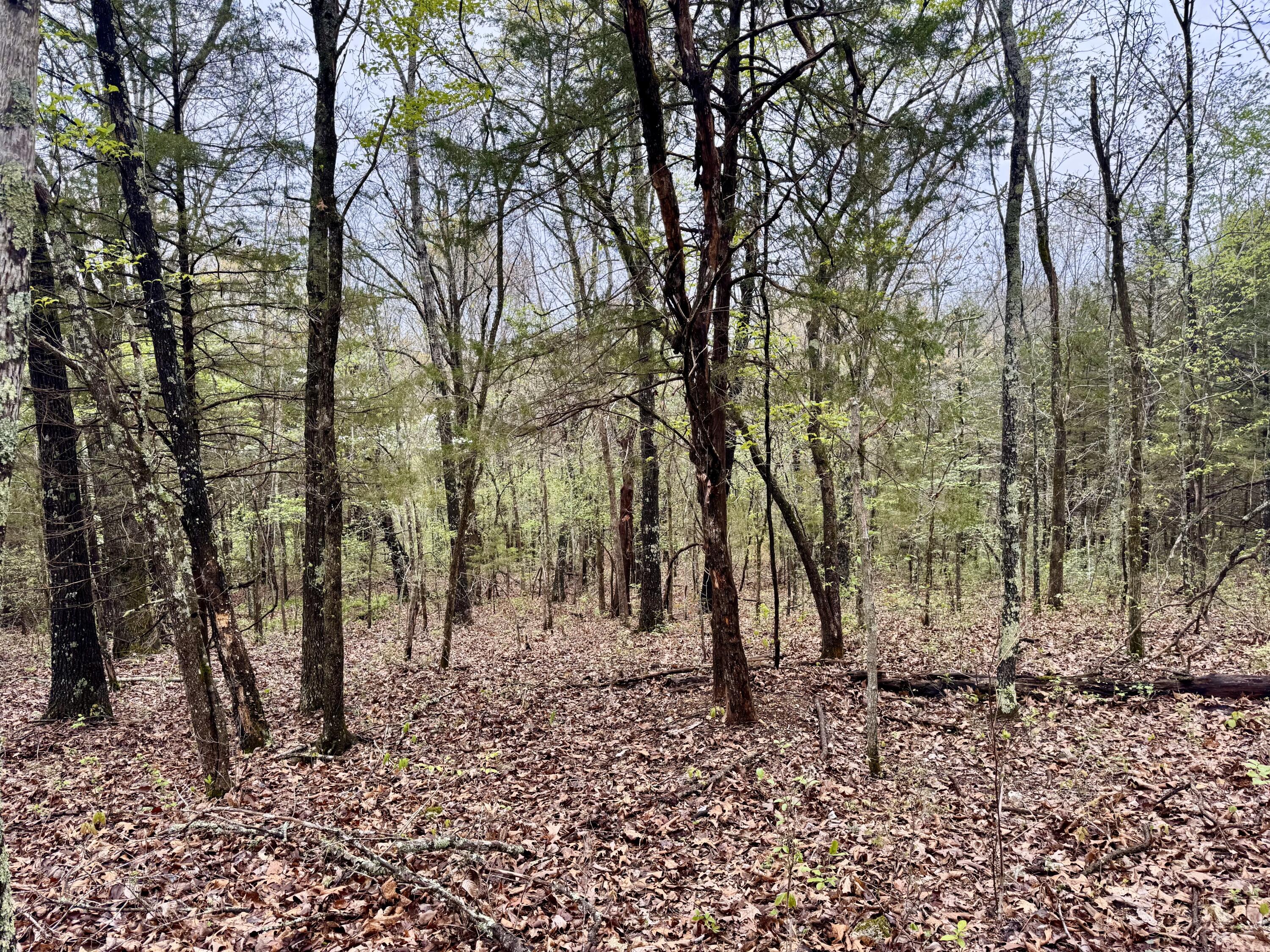 Tbd State Highway U Property Photo