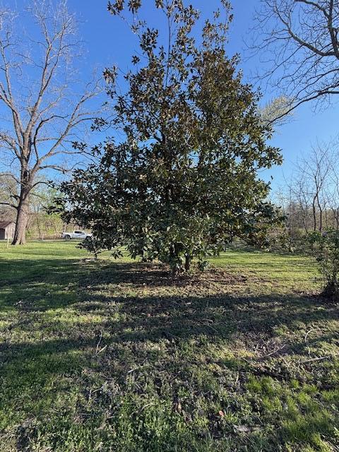 4390 State Route N Property Photo 16