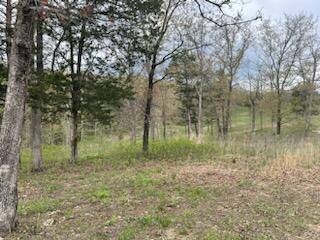 18486 Pace Lane Property Photo 13