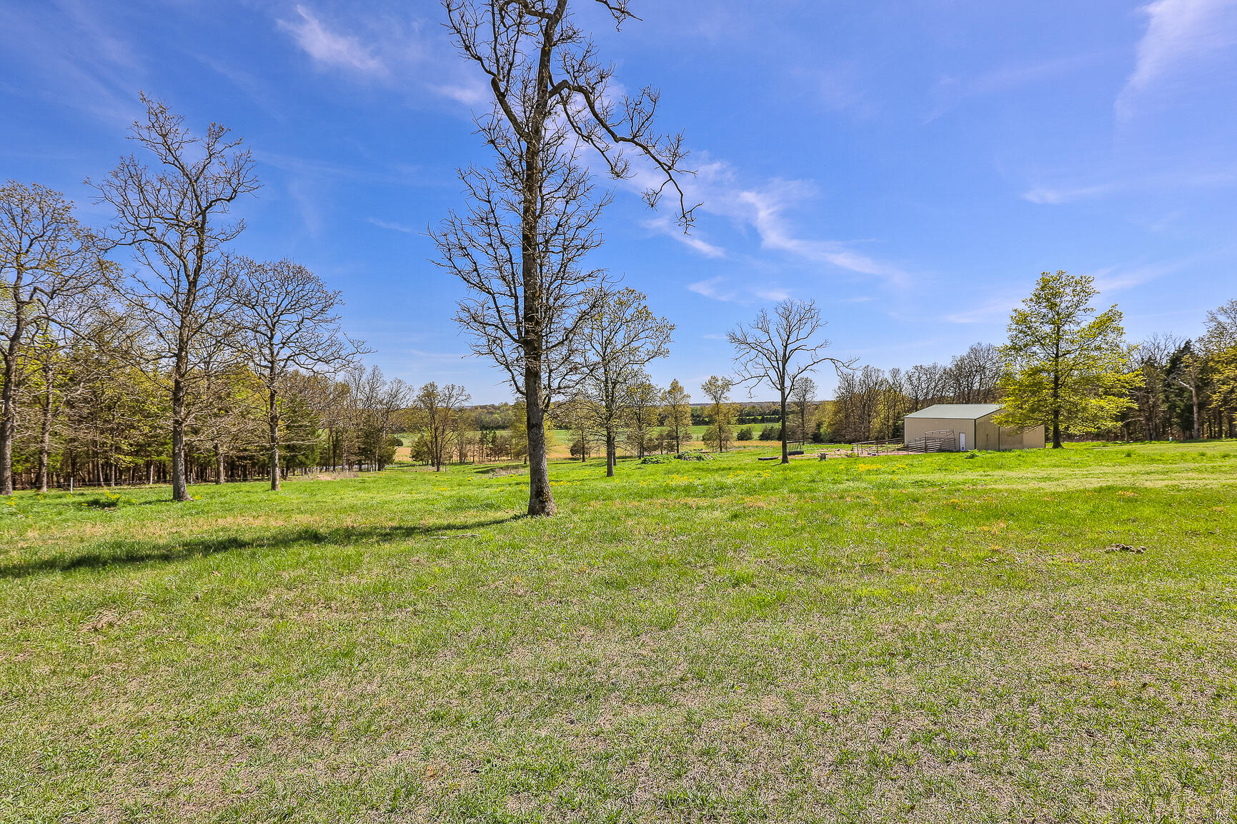 1560 Straight Road Property Photo 35