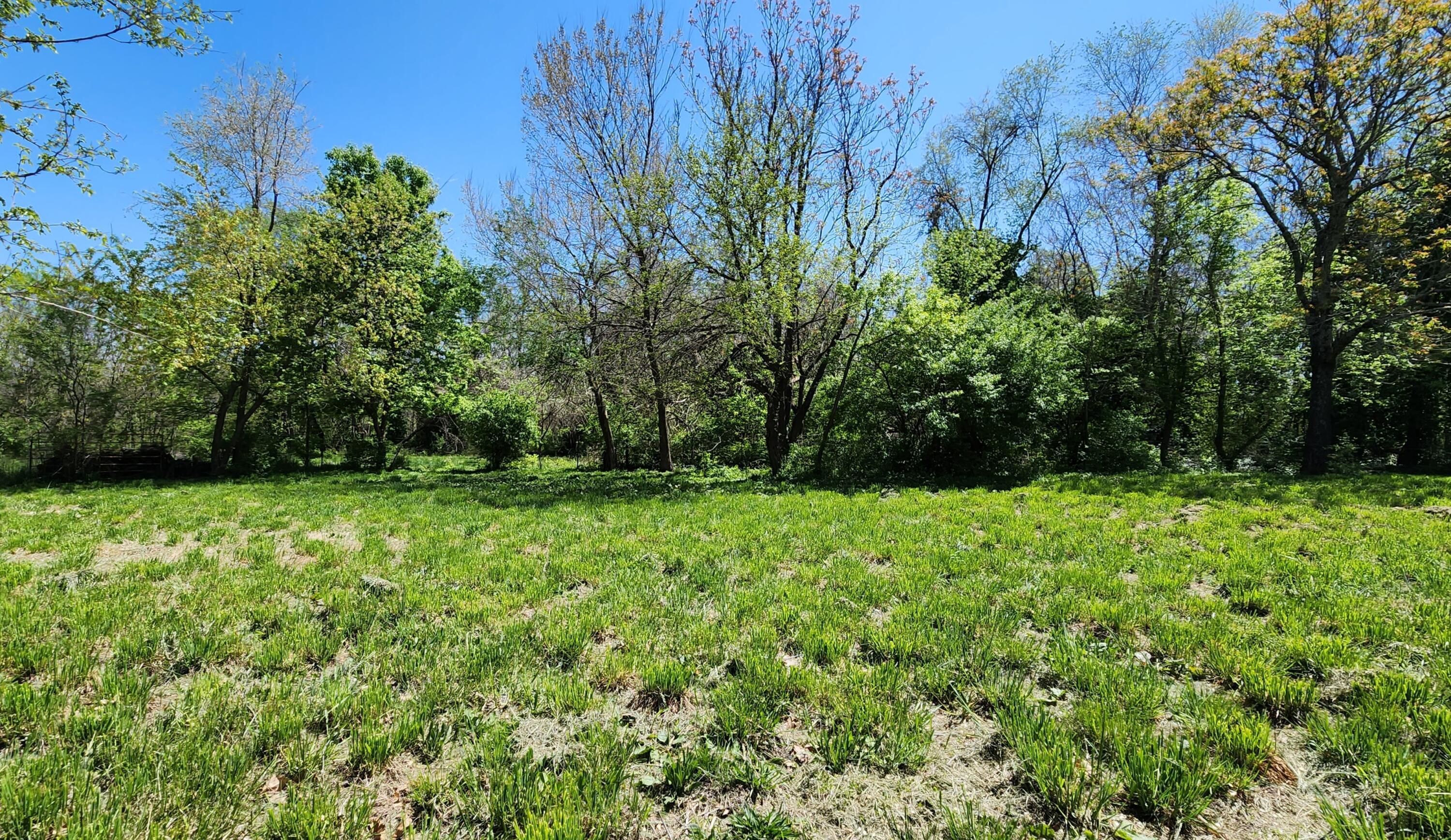 2556 North Robberson Avenue Property Photo 17