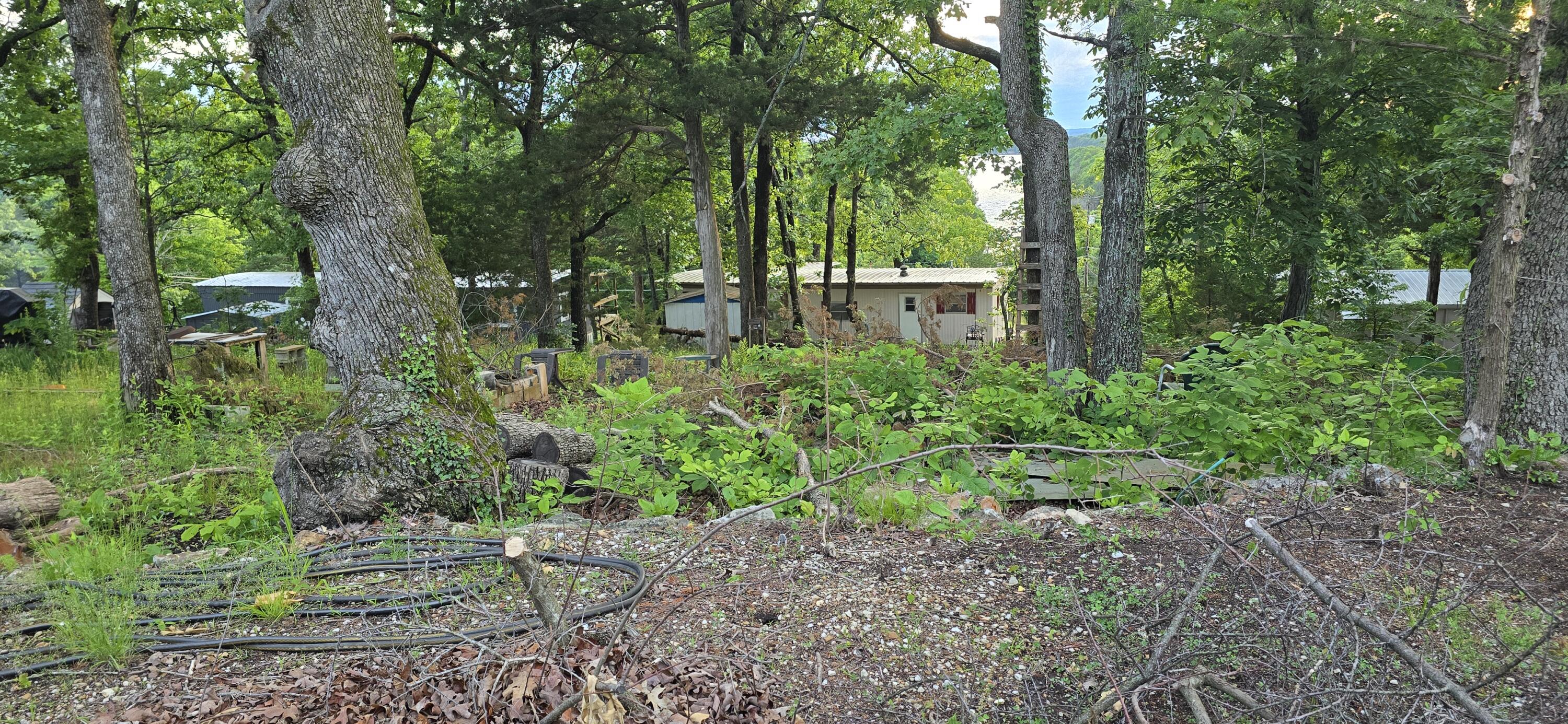 25965 Willow Road Property Photo 25