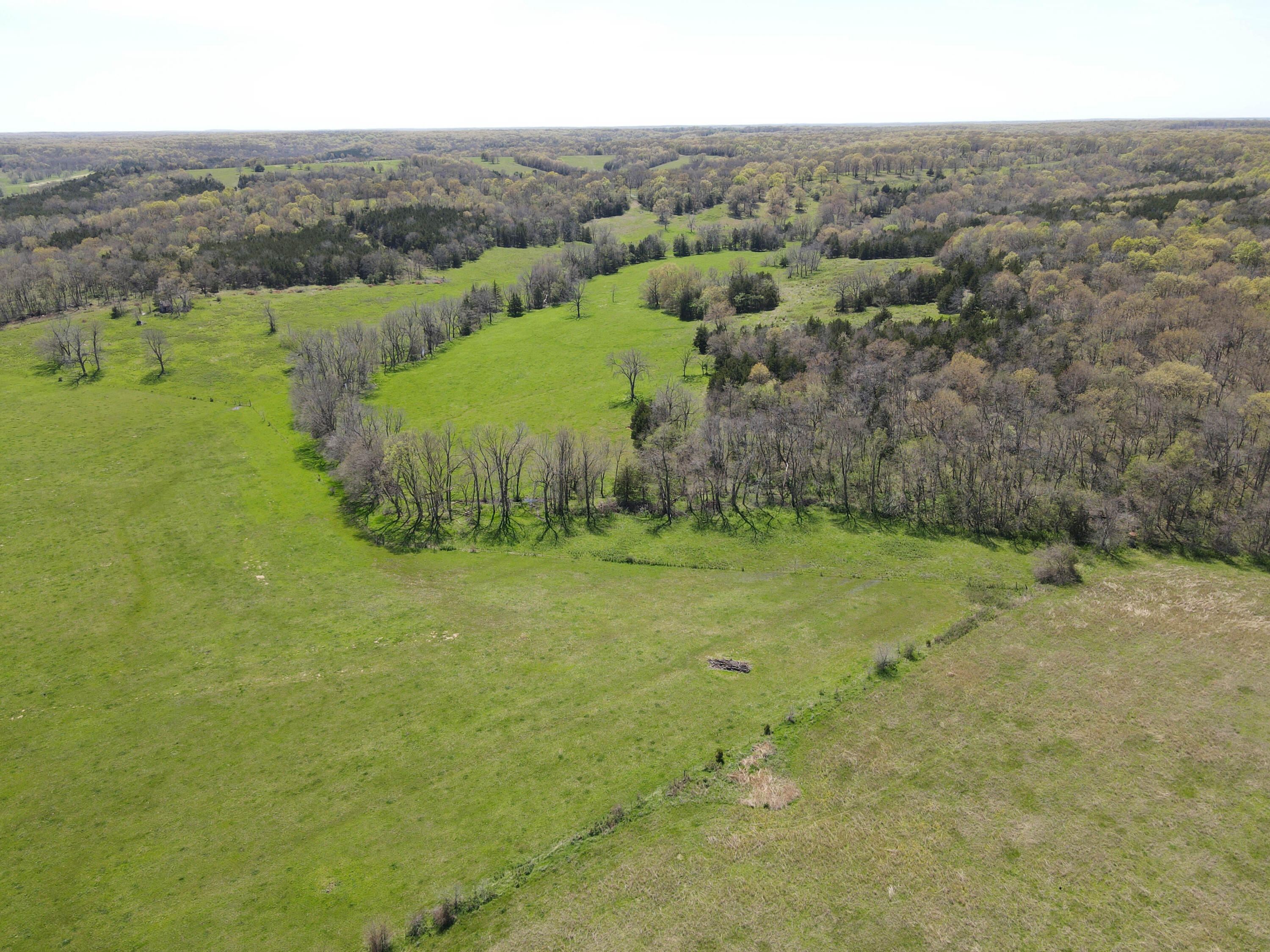 1602 Northeast 1289 Road Property Photo 13