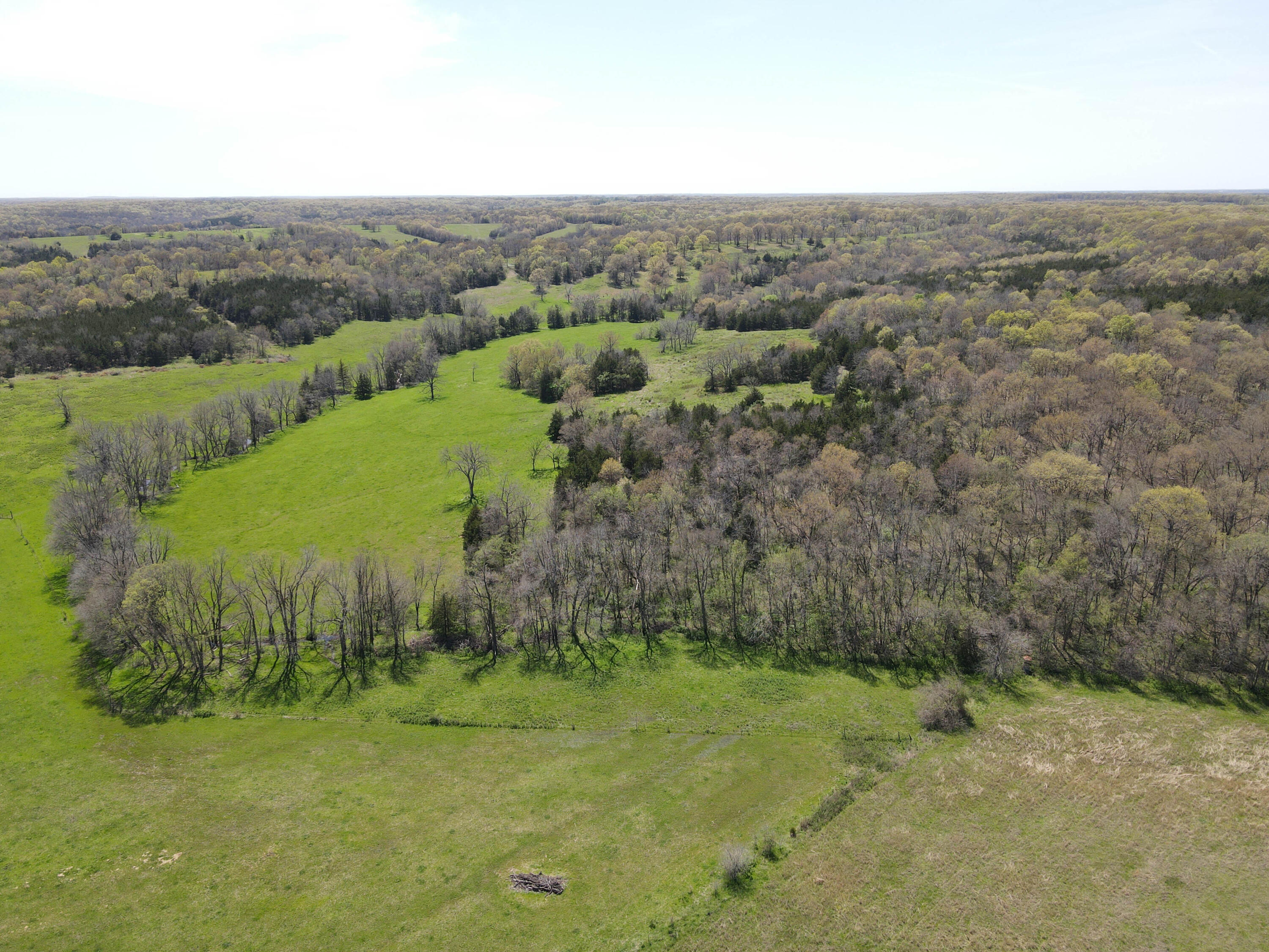 1602 Northeast 1289 Road Property Photo 15