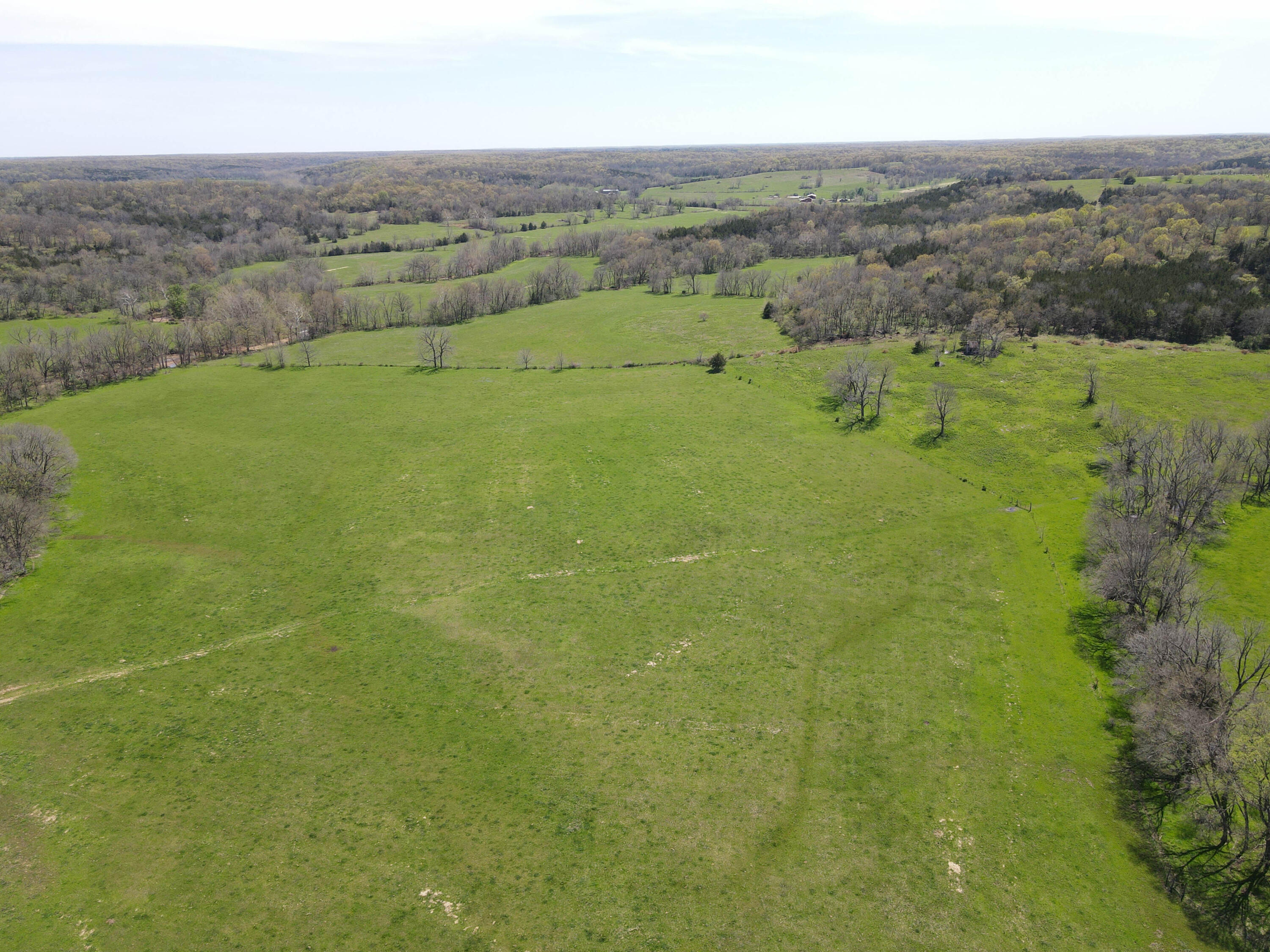 1602 Northeast 1289 Road Property Photo 16