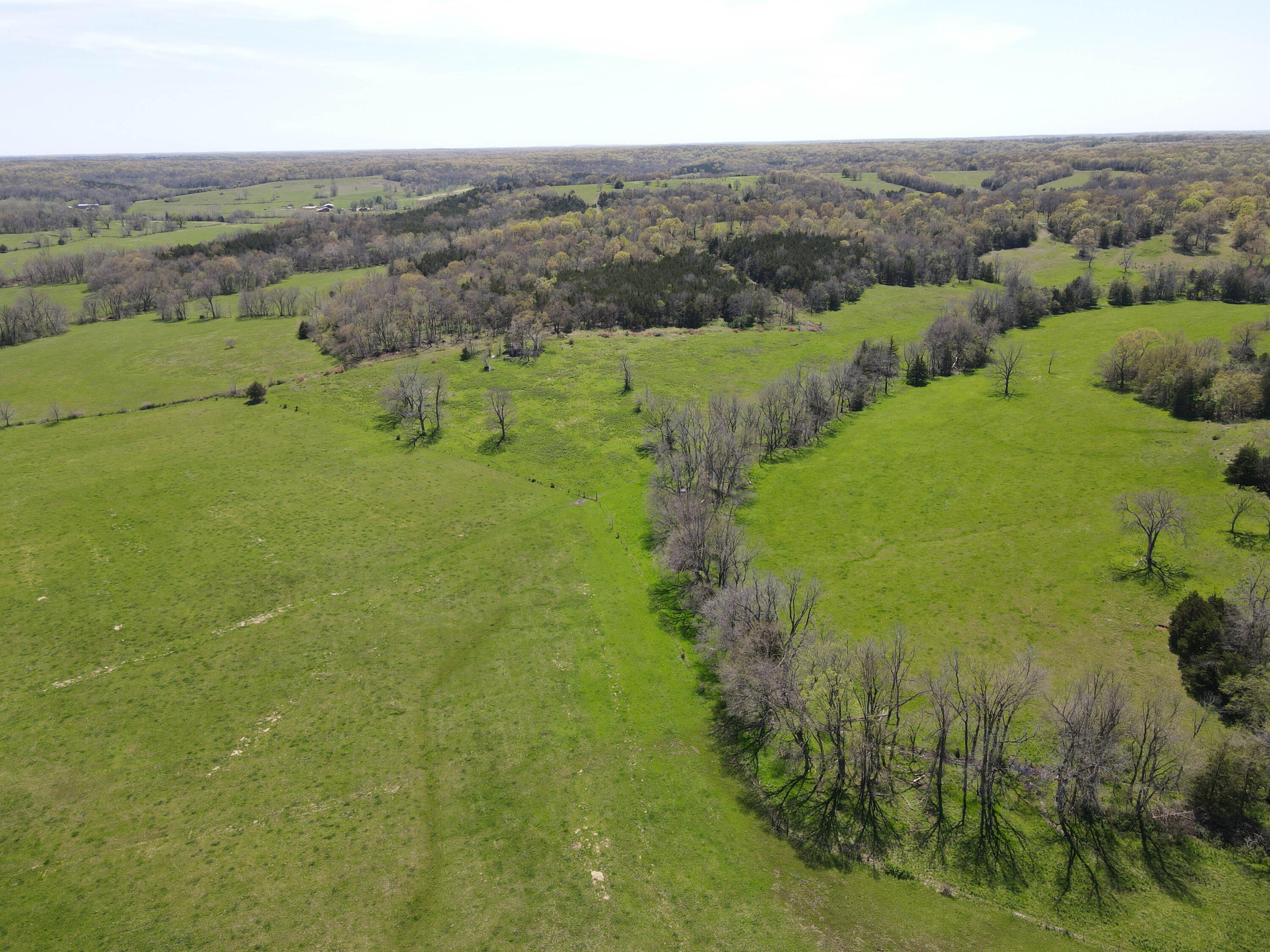 1602 Northeast 1289 Road Property Photo 19