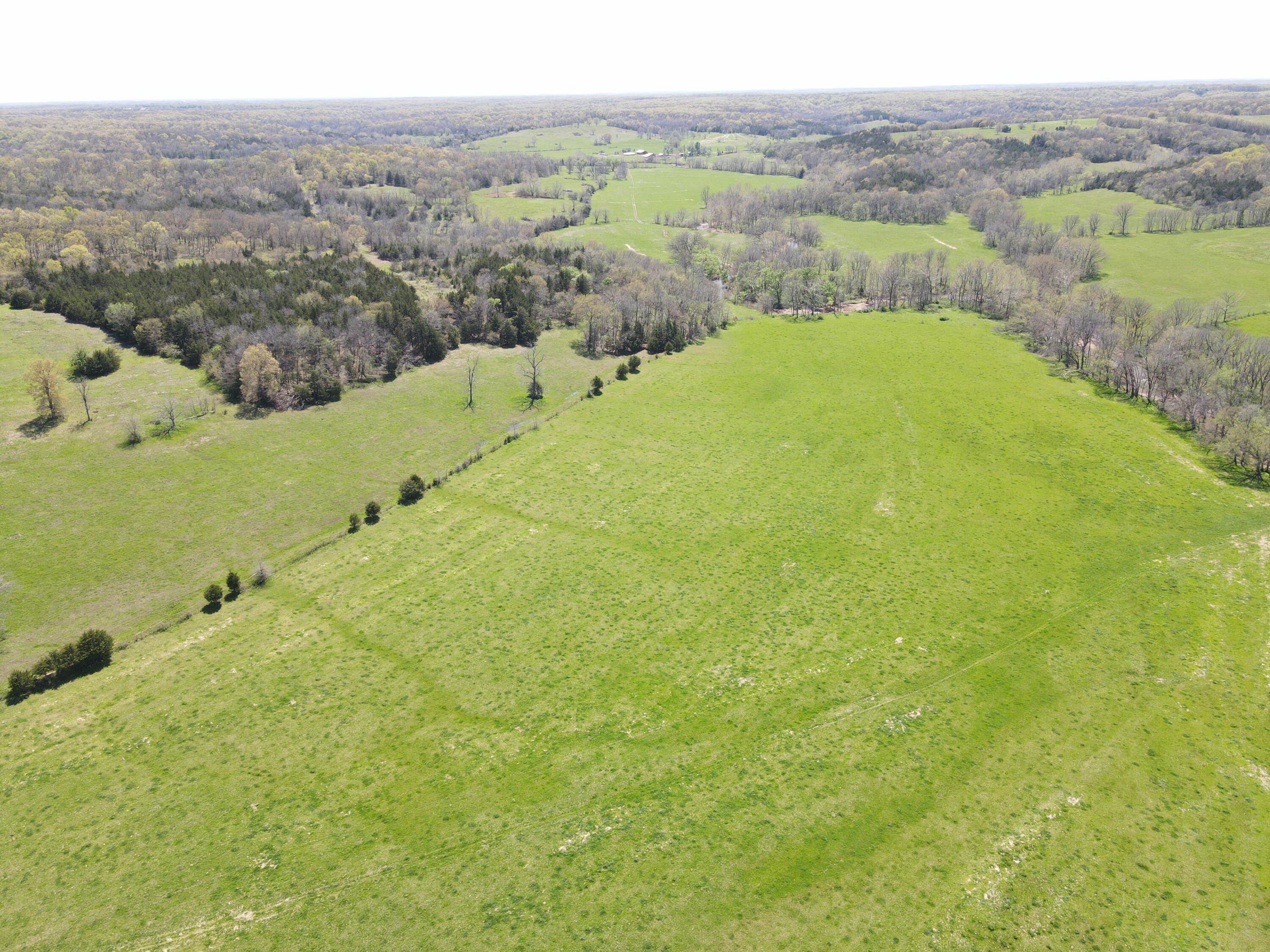 1602 Northeast 1289 Road Property Photo 26