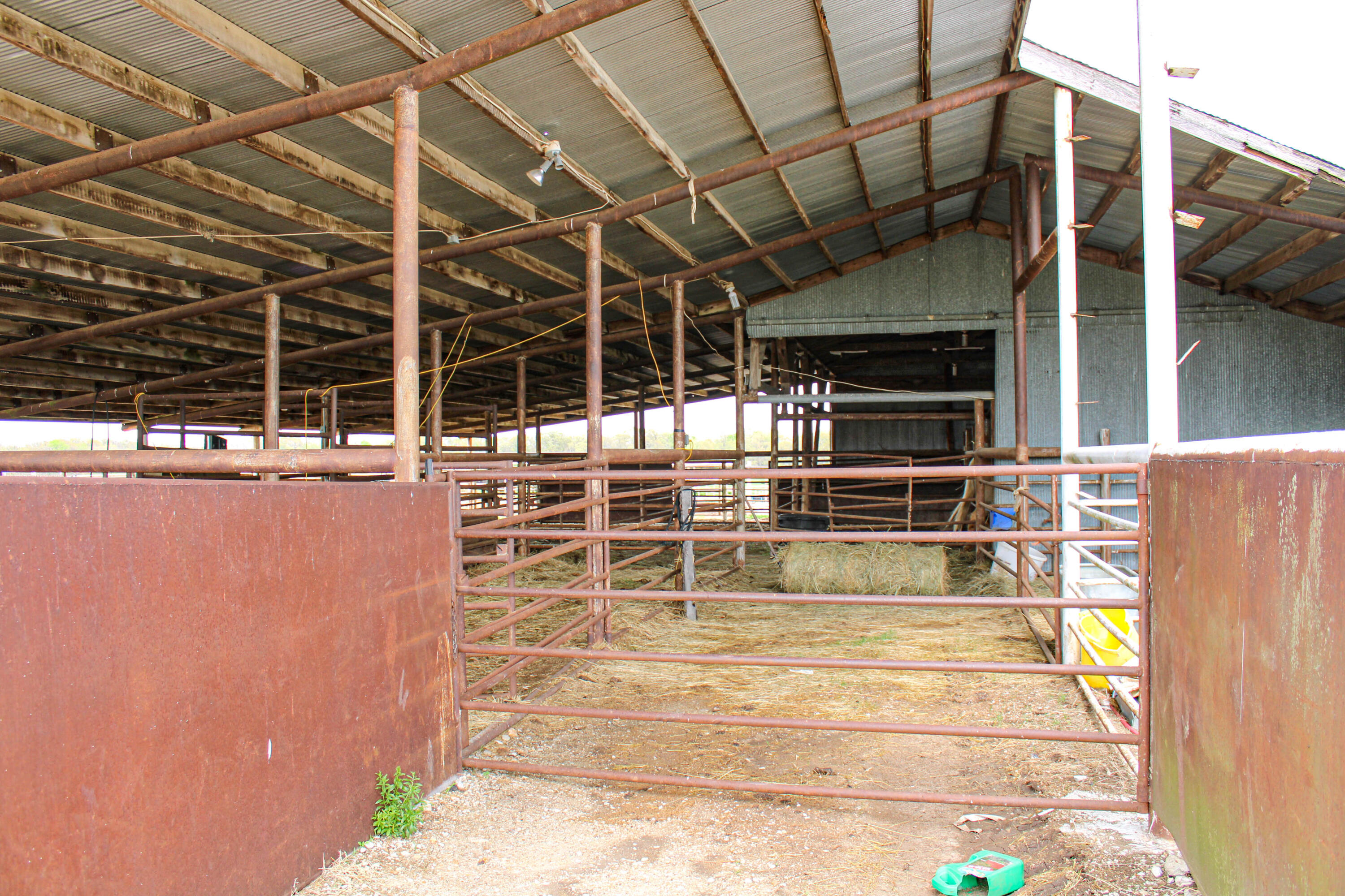 1602 Northeast 1289 Road Property Photo 49