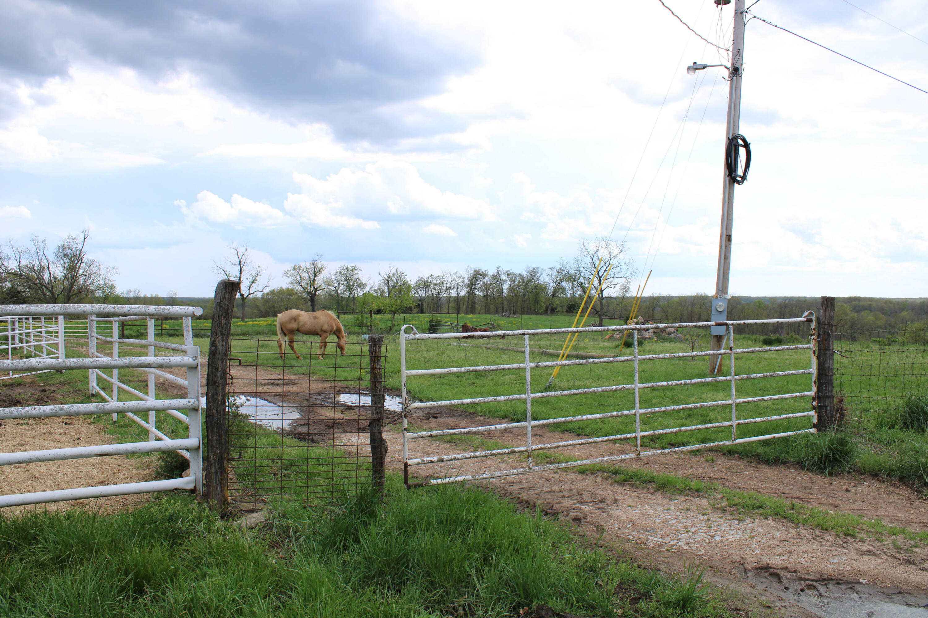 1602 Northeast 1289 Road Property Photo 52