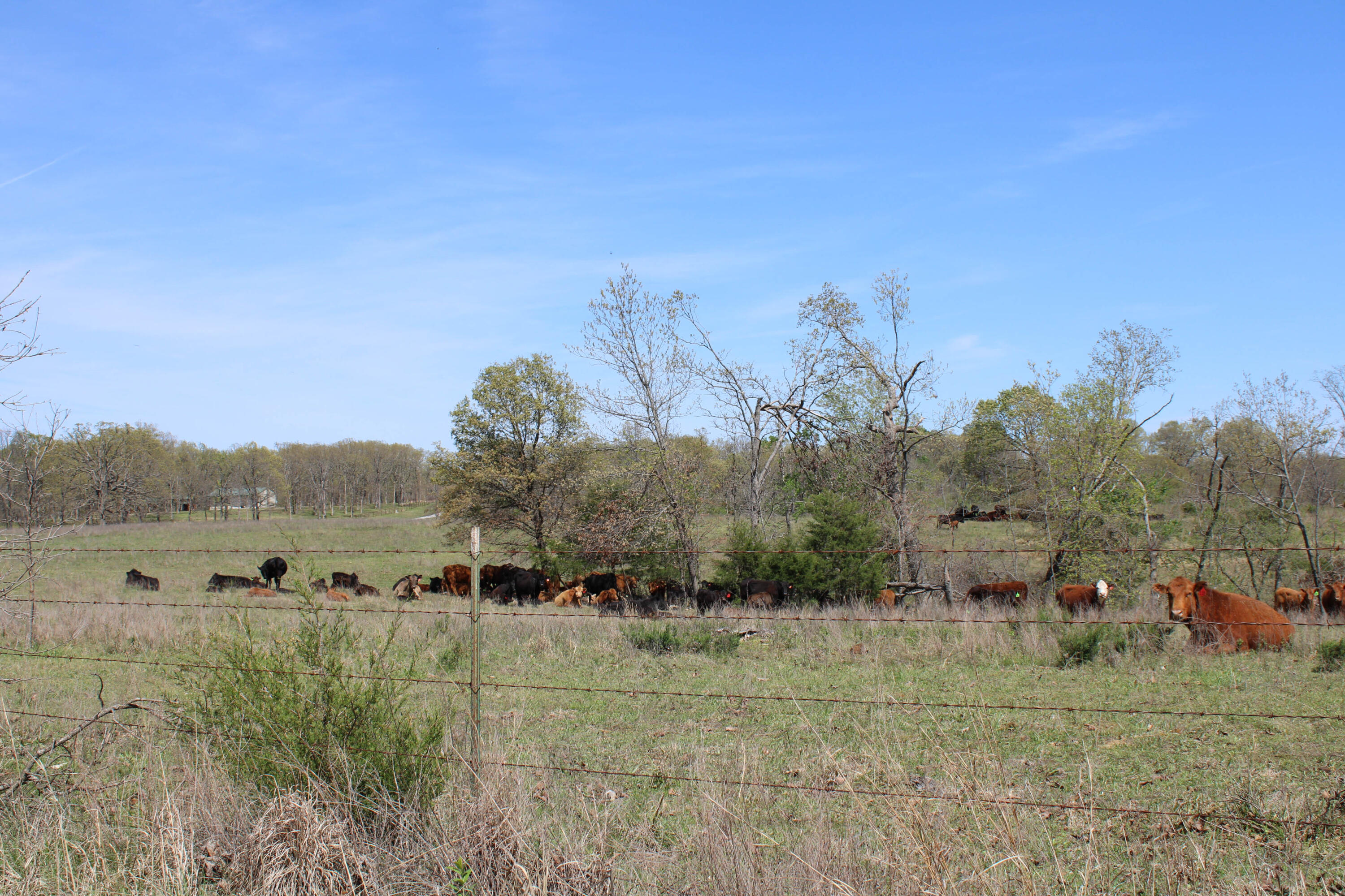 1602 Northeast 1289 Road Property Photo 68
