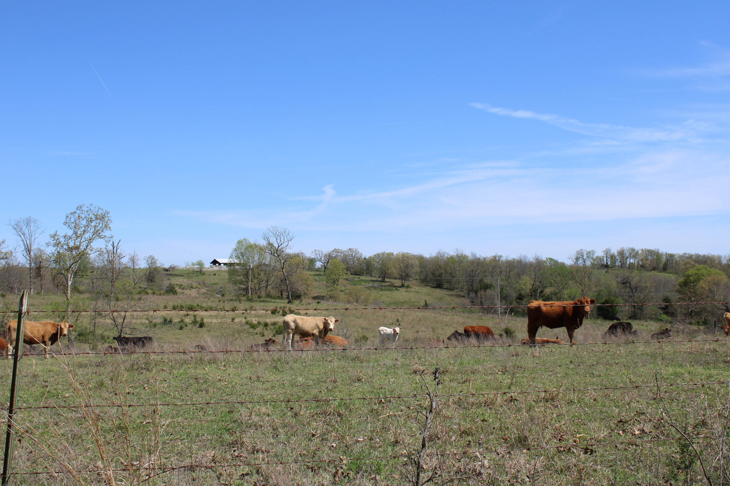1602 Northeast 1289 Road Property Photo 69