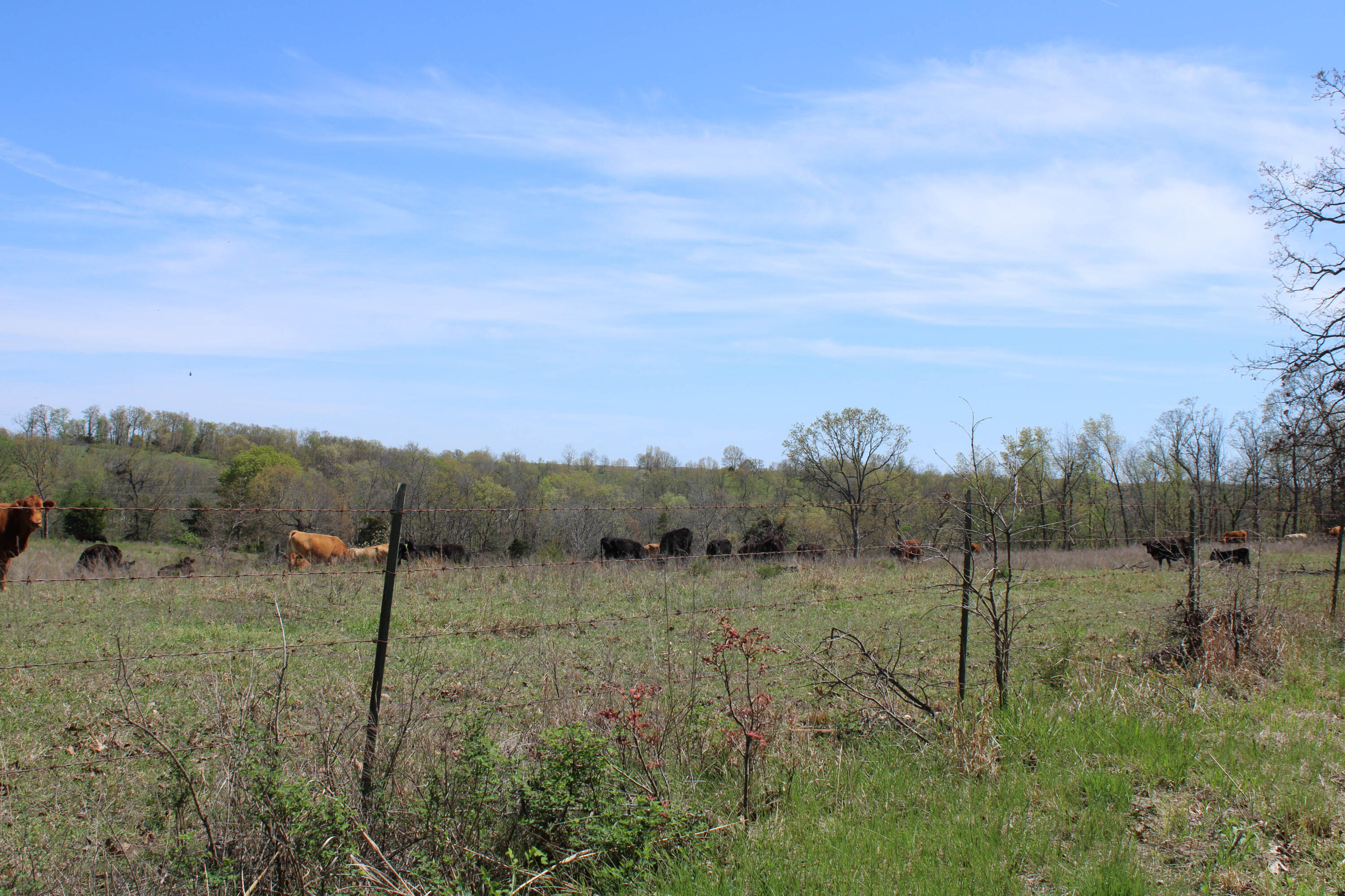1602 Northeast 1289 Road Property Photo 70