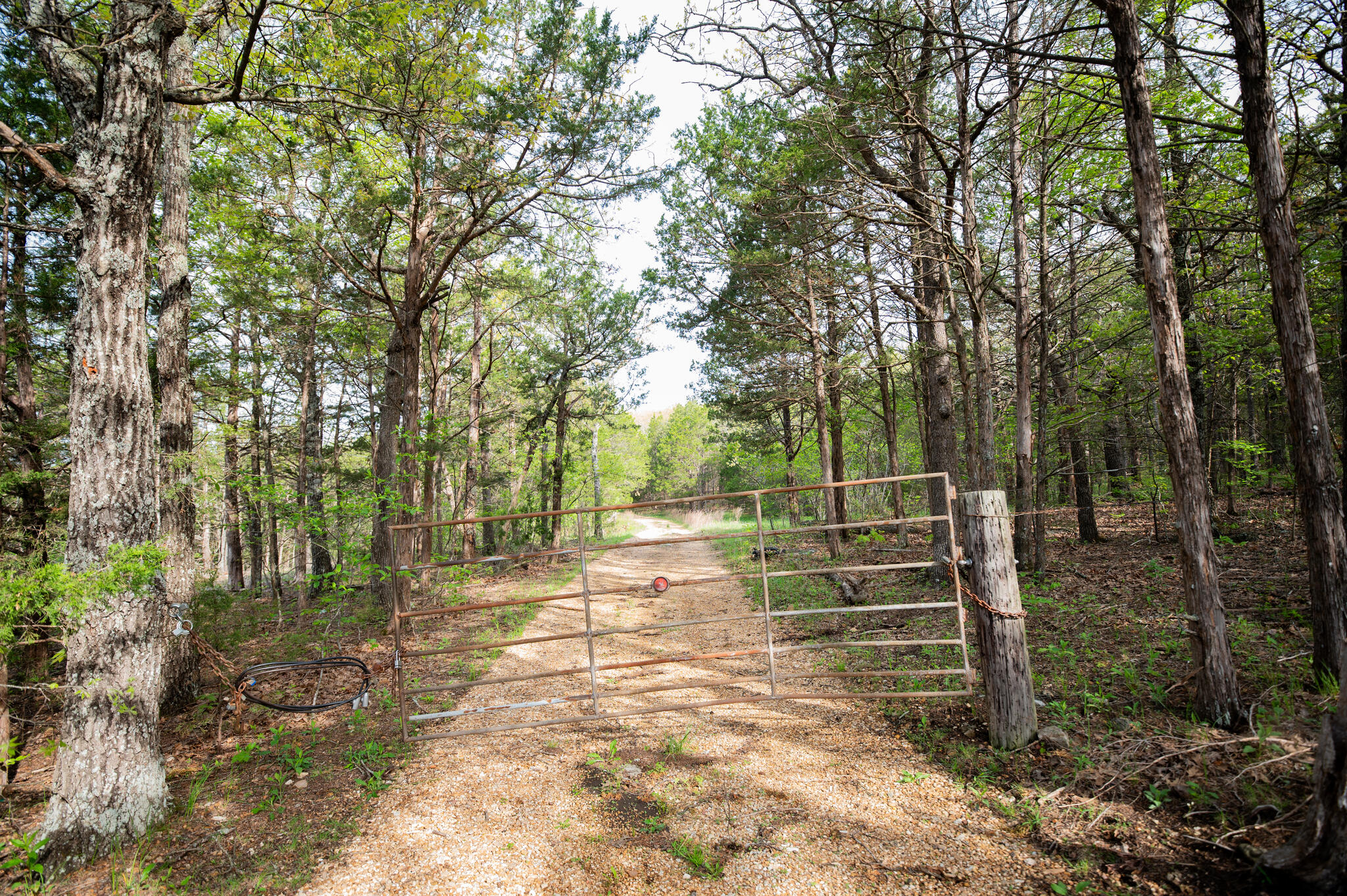 16898 Highway 42 Property Photo 11