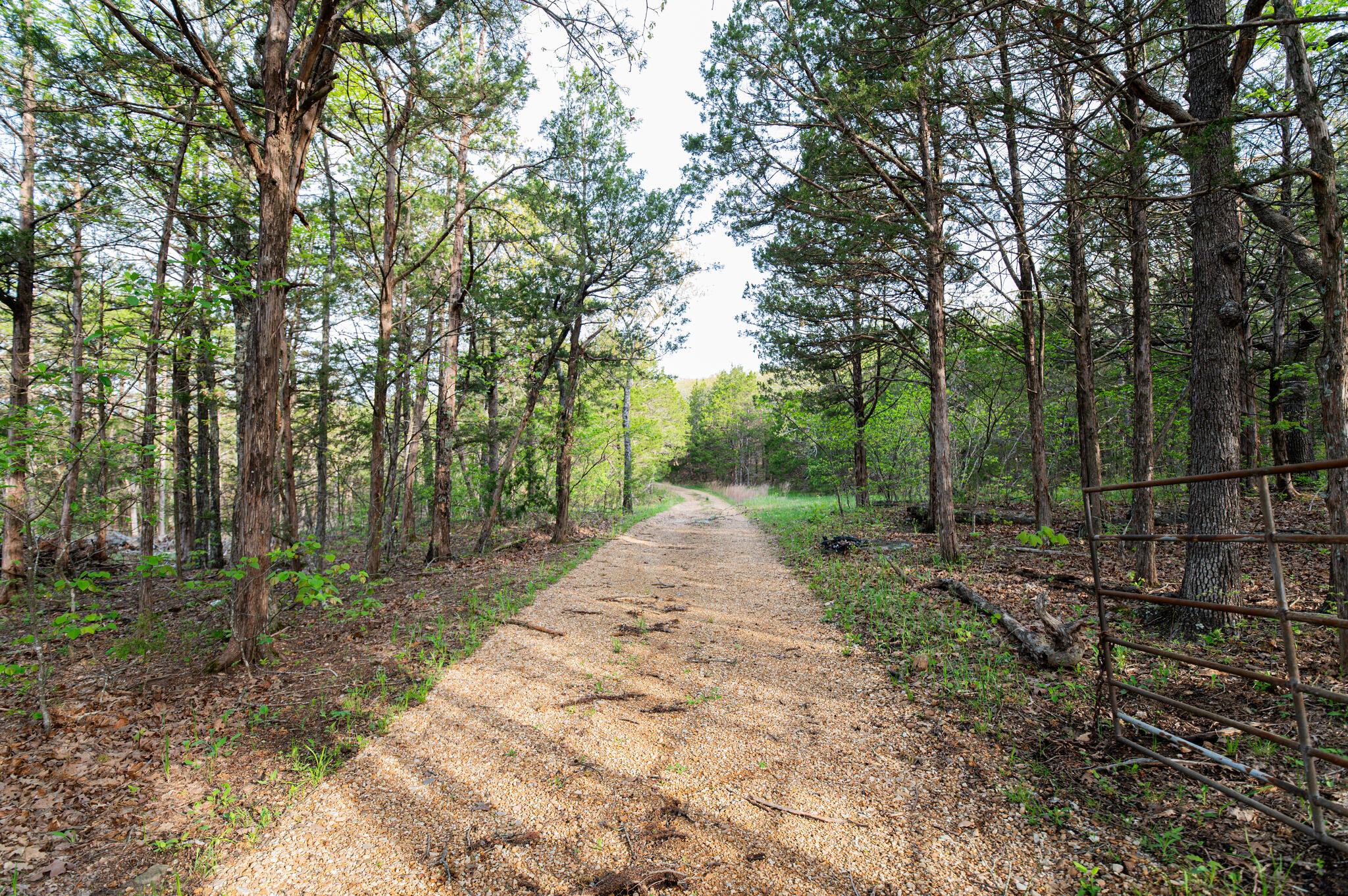 16898 Highway 42 Property Photo 12