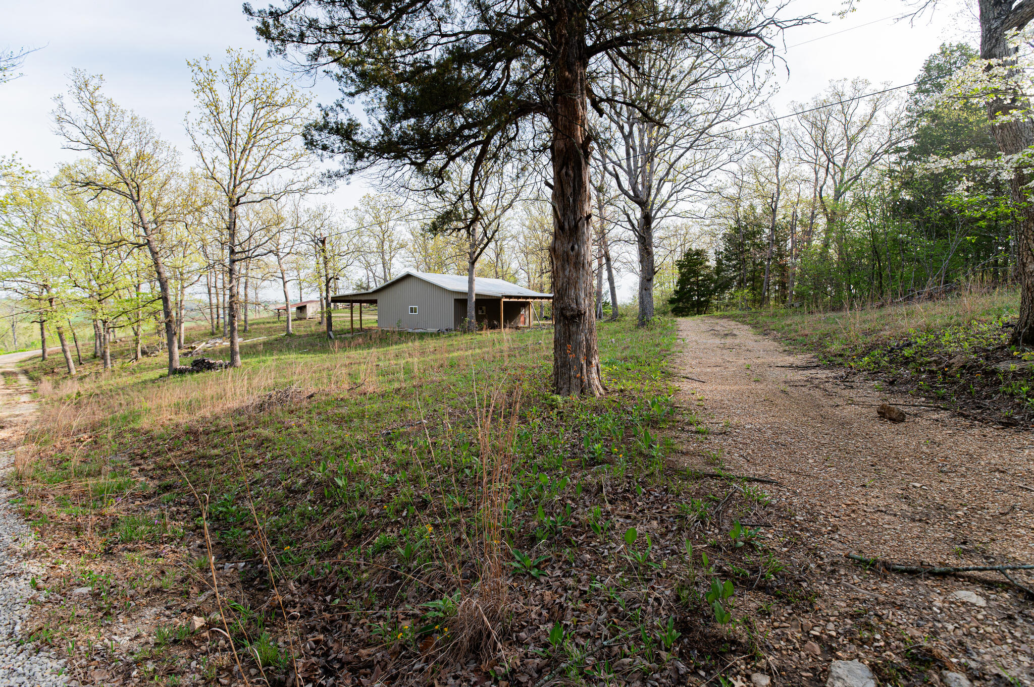 16898 Highway 42 Property Photo 14