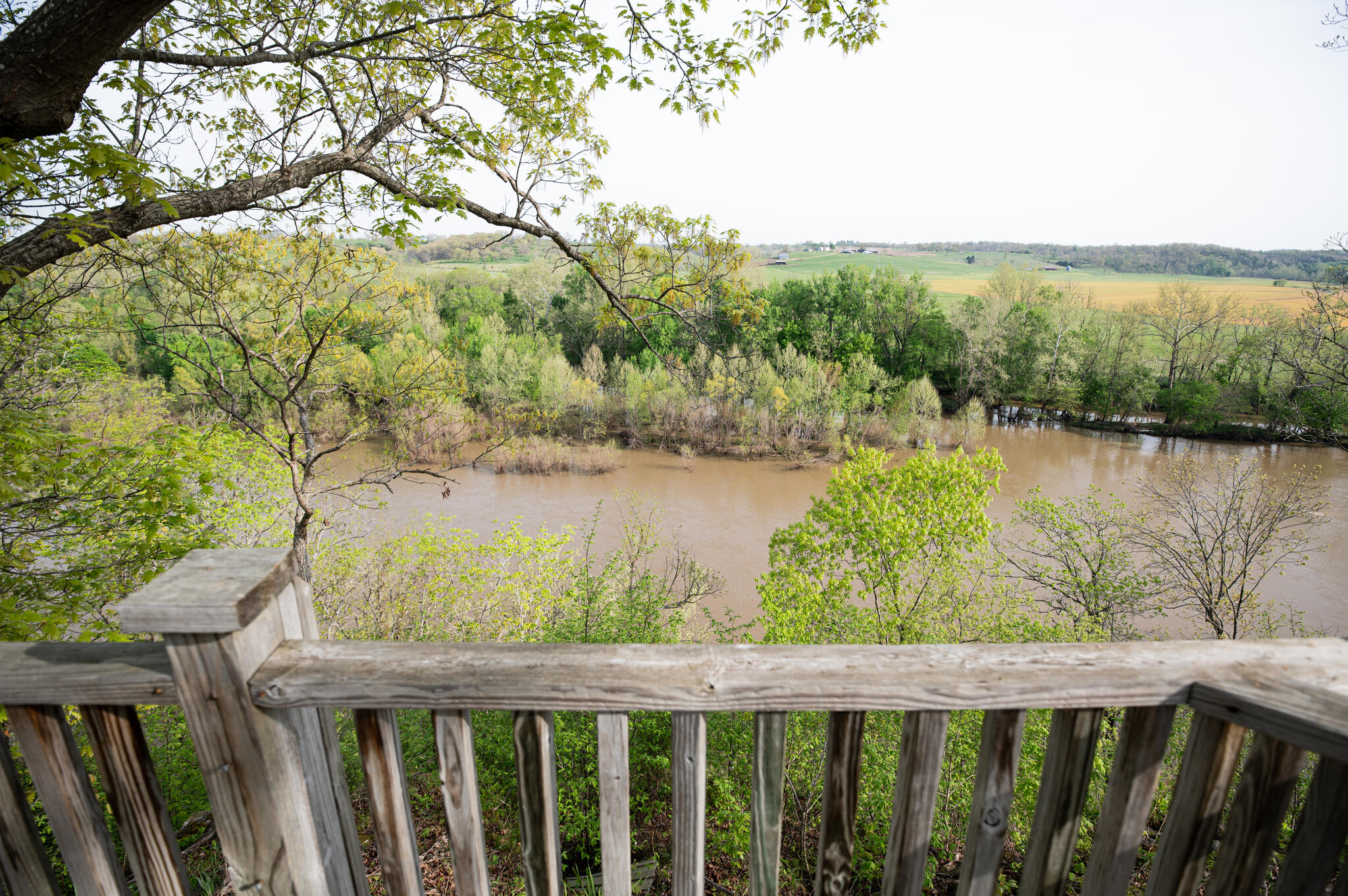 16898 Highway 42 Property Photo 47