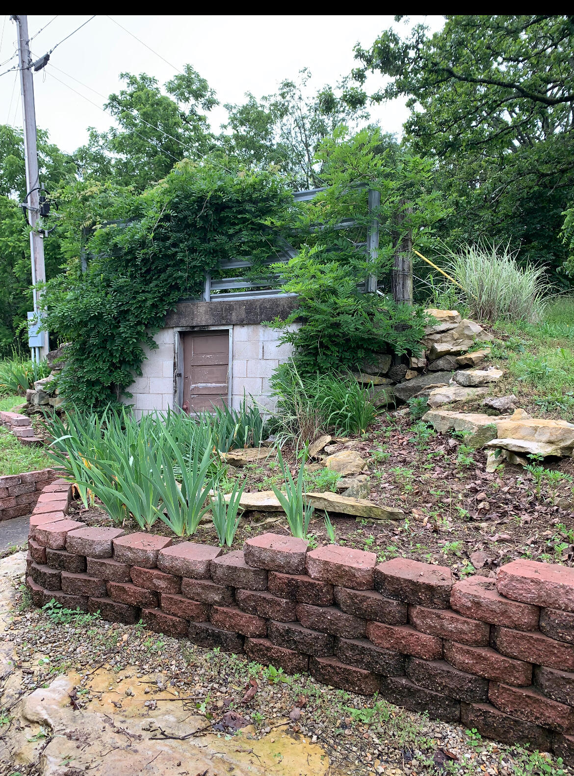 24461 Scenic Valley Drive Property Photo 34