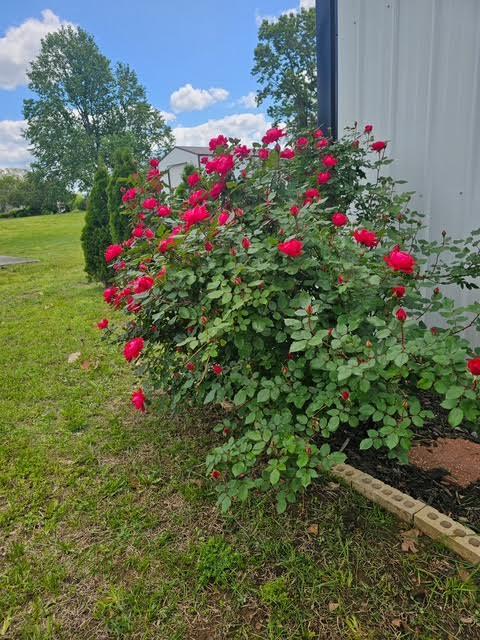 410 White Oak Drive Property Photo 88