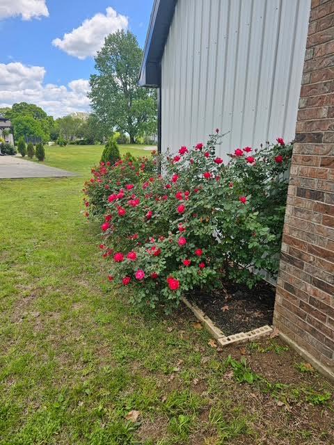 410 White Oak Drive Property Photo 91