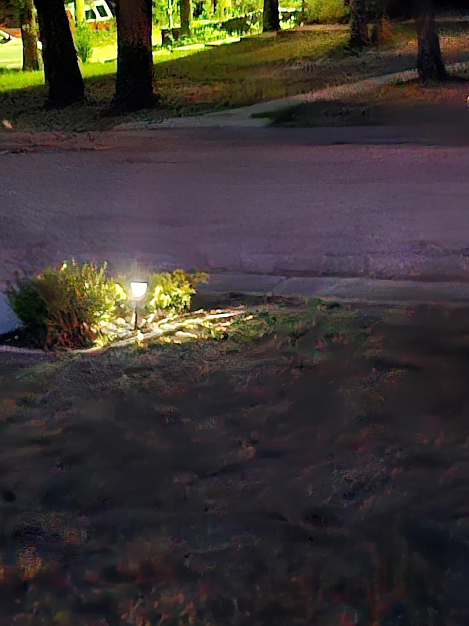 410 White Oak Drive Property Photo 116