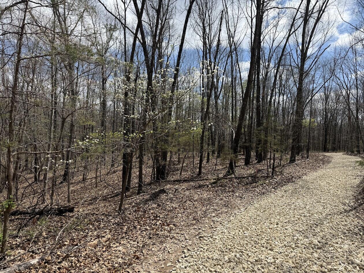 Tr 3 Lot F Tbd Property Photo