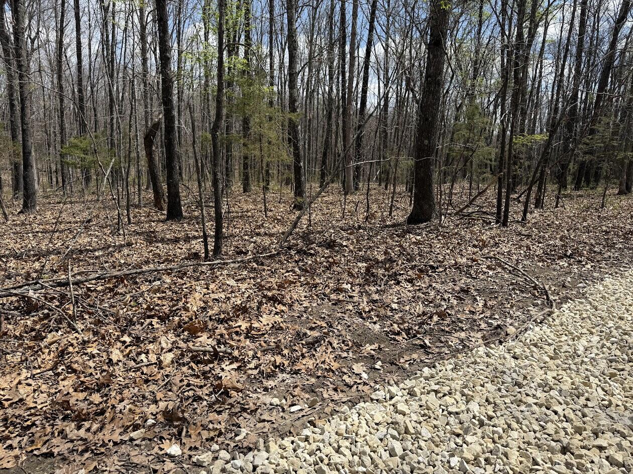 Tr 3 Lot G Tbd Property Photo