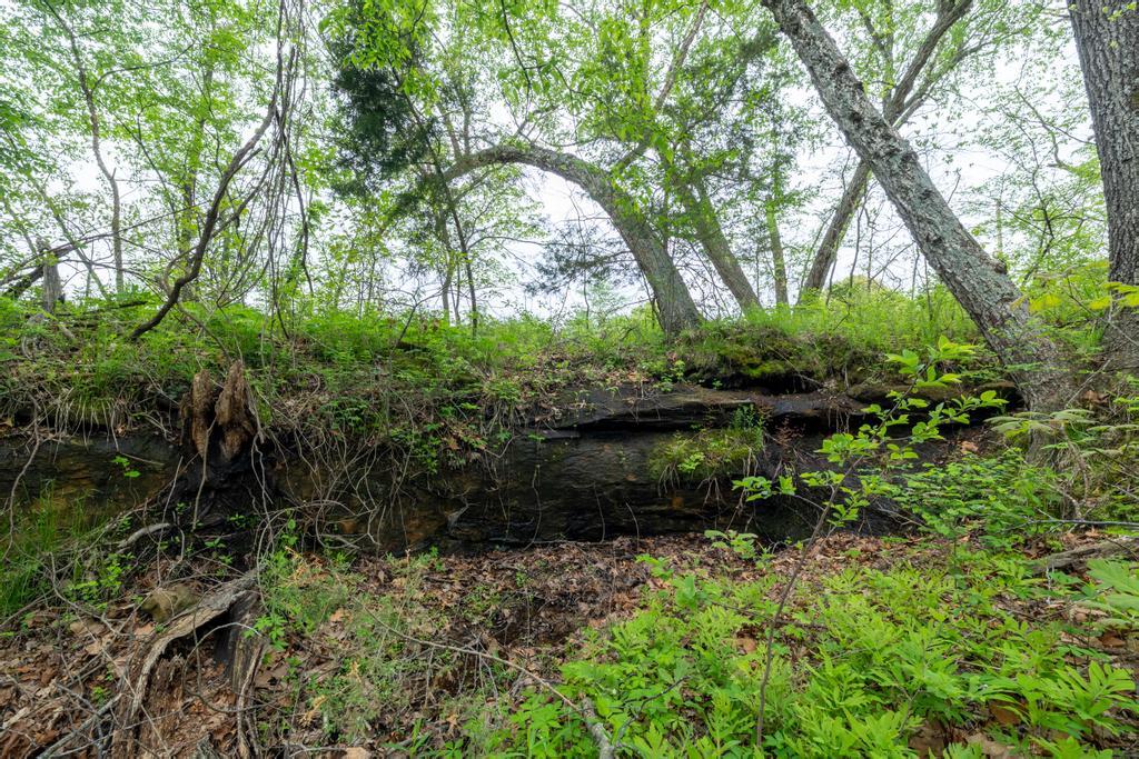 10689 South S. 425 Road Property Photo 56