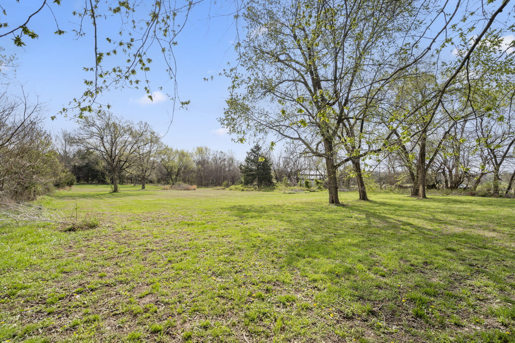 16 South Street Property Photo 21