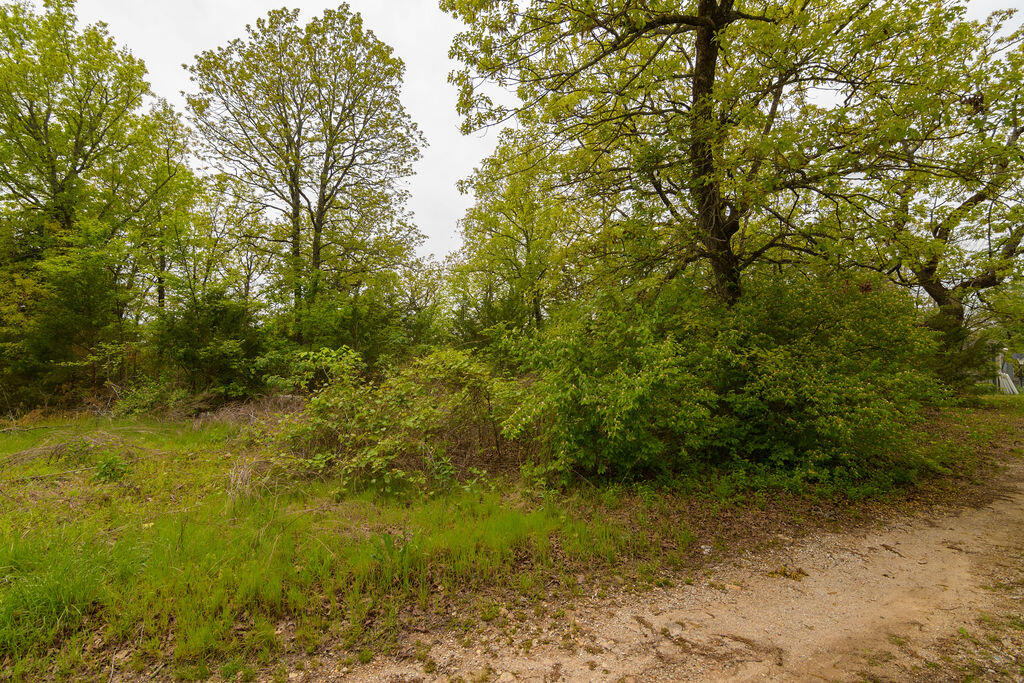 Tbd Perch Street Property Photo 6