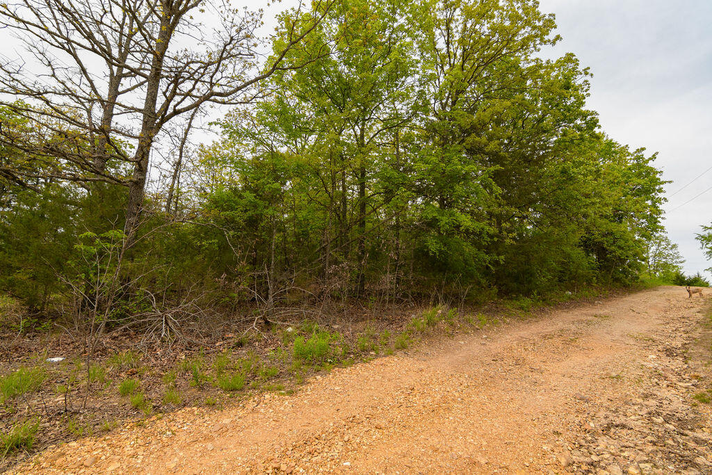 Tbd Perch Street Property Photo 14