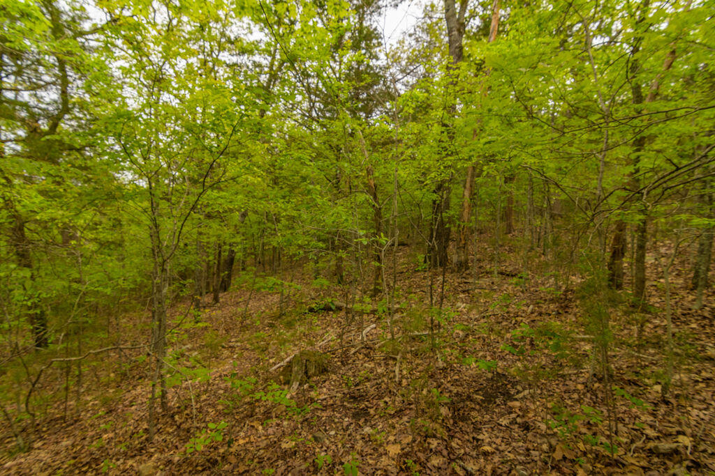 Tbd Catfish Street Property Photo 8