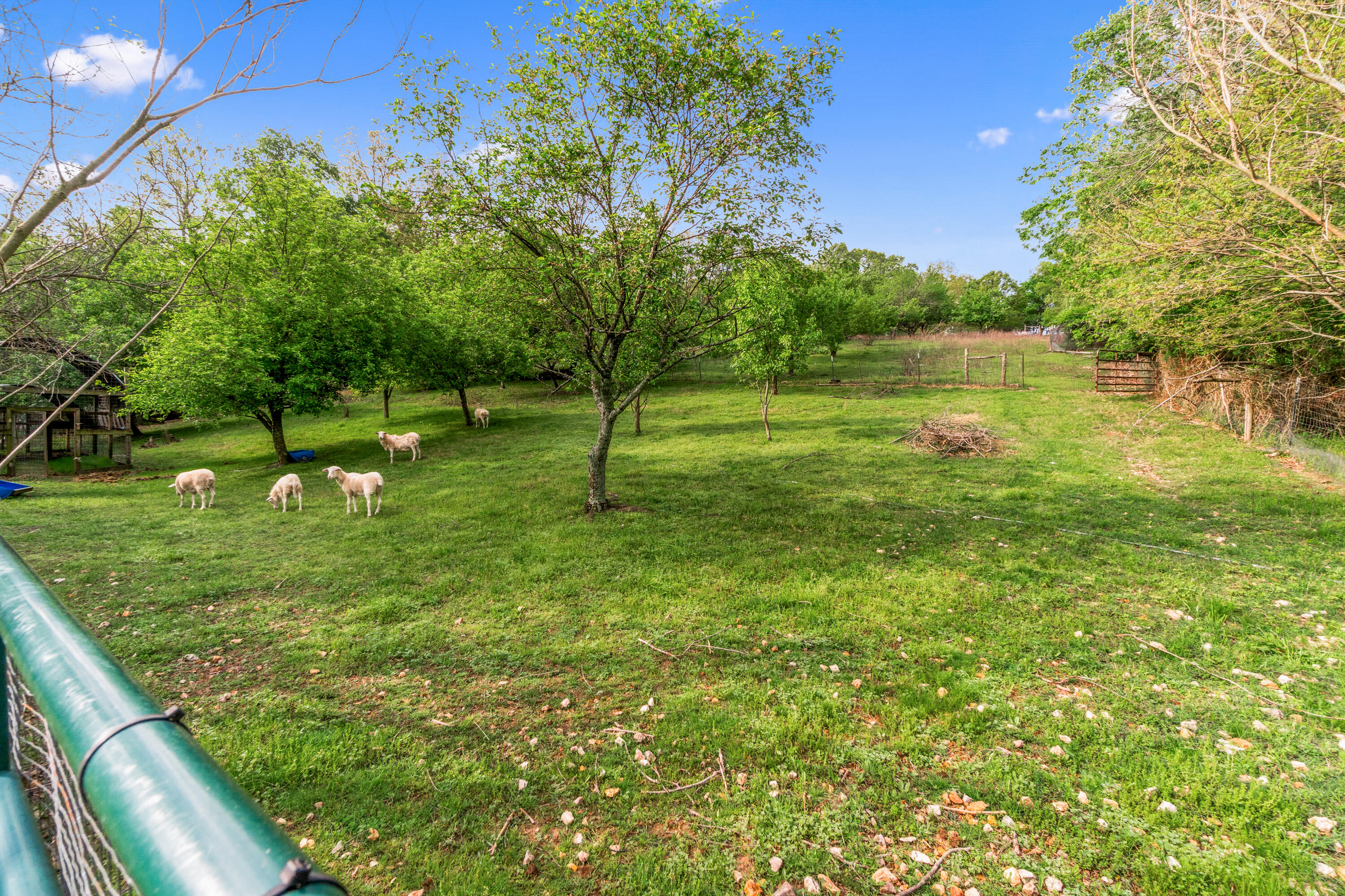 324 Hagee Road Property Photo 4